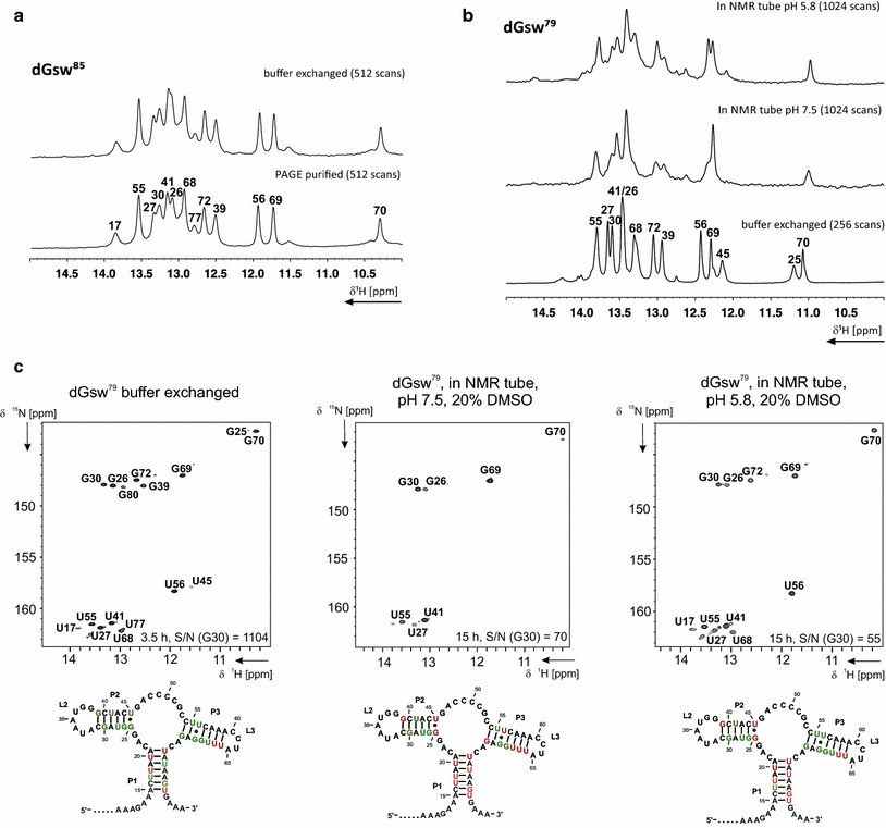 Rapid NMR screening of RNA secondary structure and binding SpringerLink