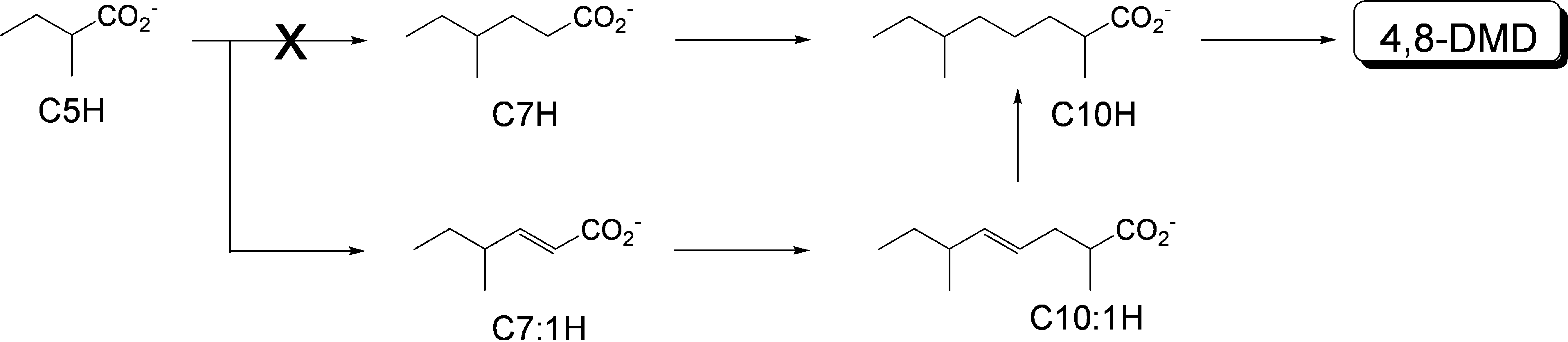 4 8 Dimethyldecanal the Aggregation Pheromone of Tribolium Open image in new window