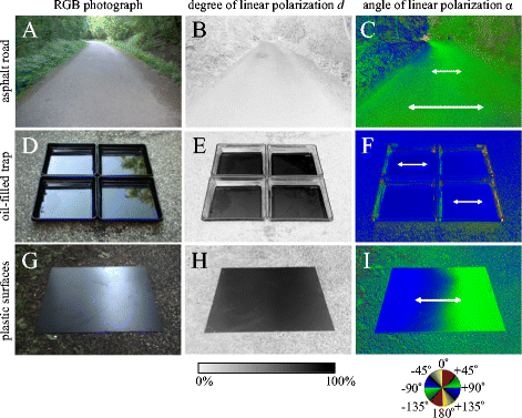 How Can Asphalt Roads Extend The Range Of In Situ Polarized - 