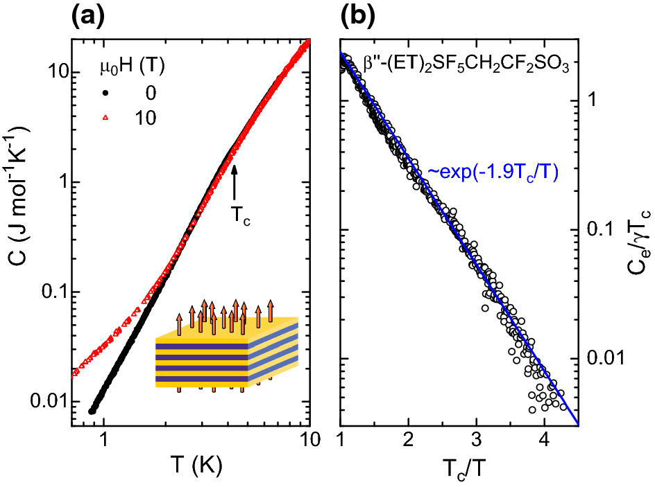 Superconductivity of Organic Charge-Transfer Salts | SpringerLink