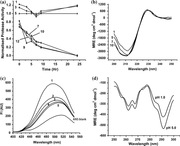 Alkaline protease phd thesis