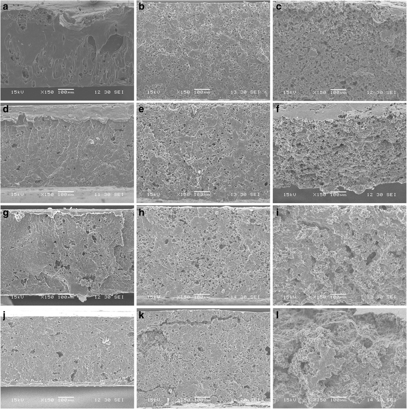 Processing And Characterization Of Thermoplastic Starch Open Image In New Window