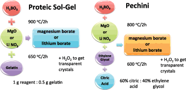 Synthesis of MgB4O7 and Li2B4O7 crystals by proteic sol ...