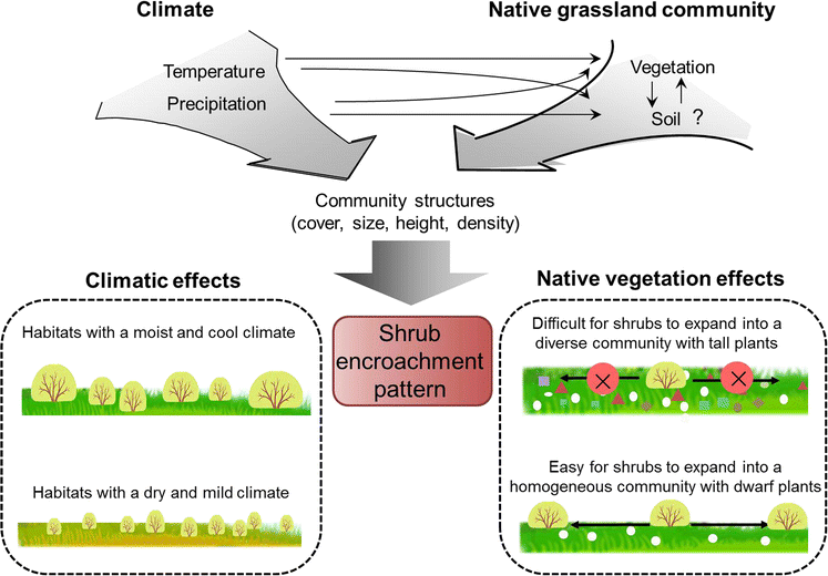 Climate and native grassland vegetation as drivers of the community