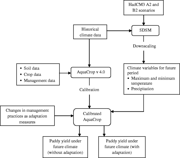 Flow Chart Of Rice Production