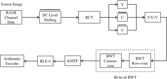 rle signal transformation and information
