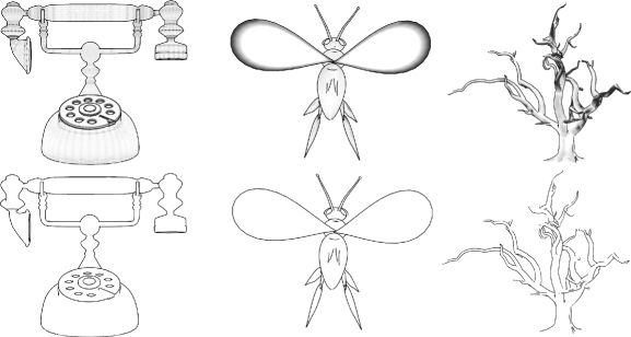 Global Tone Using Tone To Draw In Pen And Ink Illustration - 