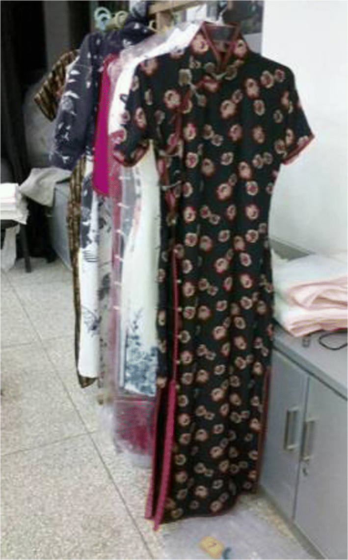 Cloth Simulation For Chinese Traditional Costumes Springerlink