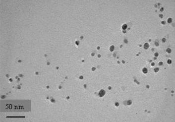 Biosynthesis of silver nanoparticles using Ocimum sanctum (Tulsi) leaf ...