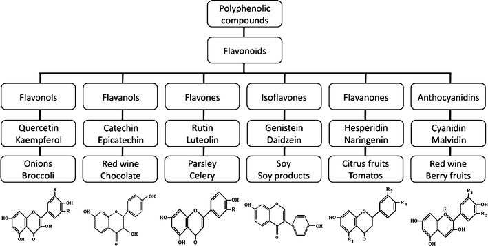 flavonoids and brain health multiple