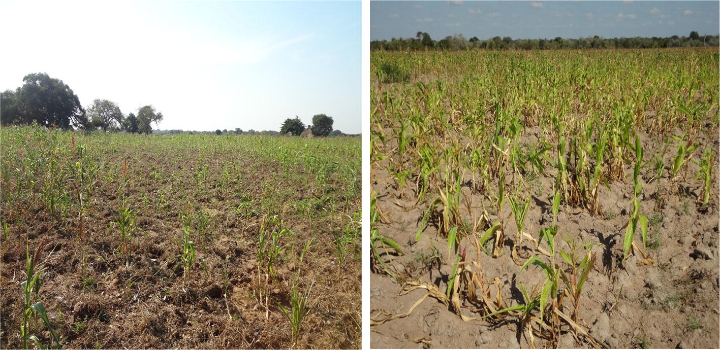 Traditional Prediction Of Drought Under Weather And Climate