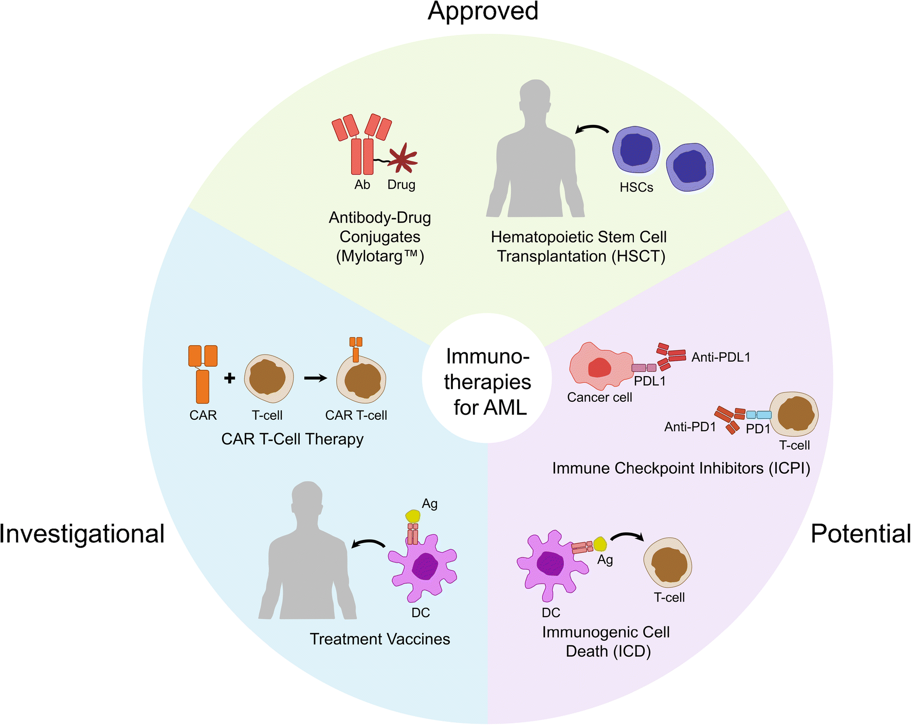 future research for leukemia