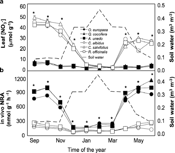 Patterns Of Nitrate Reductase Activity Vary According To The Plant Functional Group In A Mediterranean Maquis Springerlink