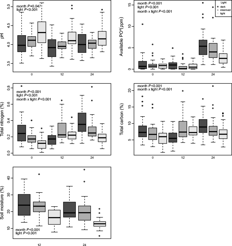 conservation by translocation establishment of wollemi pine and