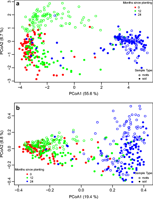 conservation by translocation establishment of wollemi pine and