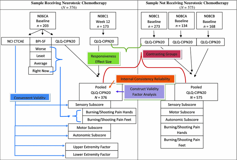 assessing patient reported peripheral neuropathy the chart abstraction form