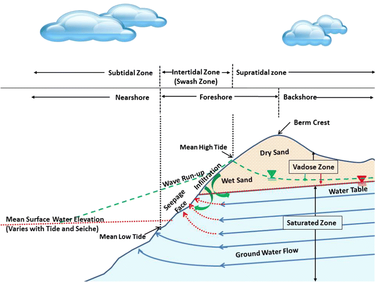 Microbes in beach sands: integrating environment, ecology and public ...