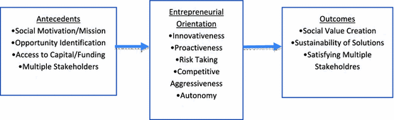 Entrepreneurial Processes In Social Contexts How Are They - 