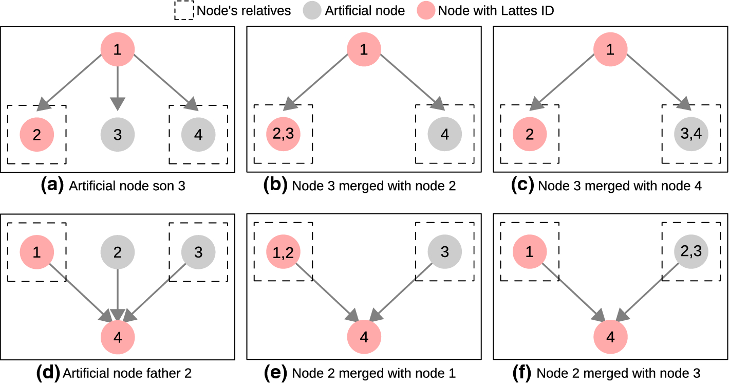 The Brazilian Academic Genealogy Evidence Of Advisor - 
