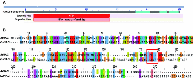 Arabidopsis Thaliana Nac083 Protein Interacts With Mungbean