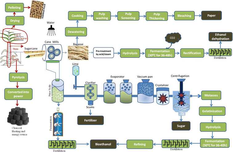 Multidisciplinary Approaches To Handling Wastes In Sugar - 