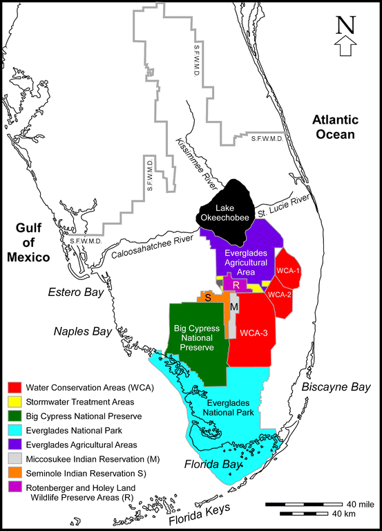 The Everglades North America’s subtropical wetland SpringerLink