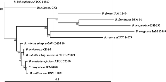 api 613 latest edition of dsm api 613 latest edition of dsm