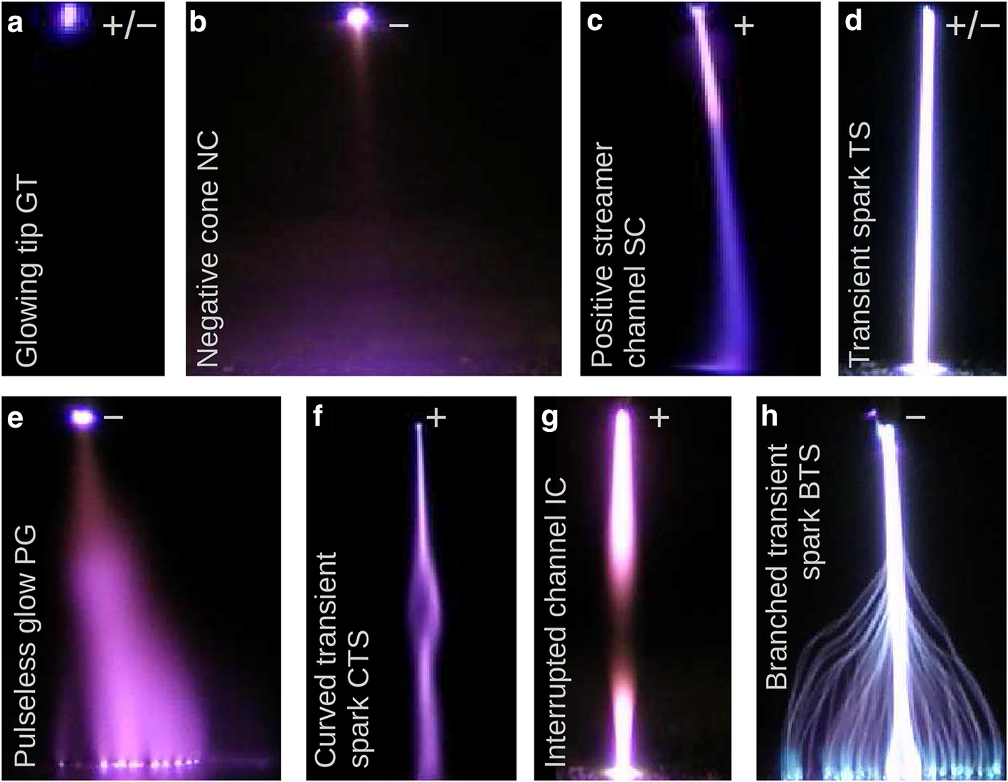Medically Important Biofilms And Non Thermal Plasma