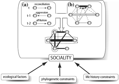 Complexity, dynamics and diversity of sociality in group-living mammals