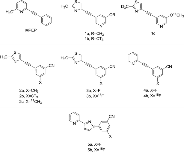 Screening Cascade And Development Of Potential Positron - 