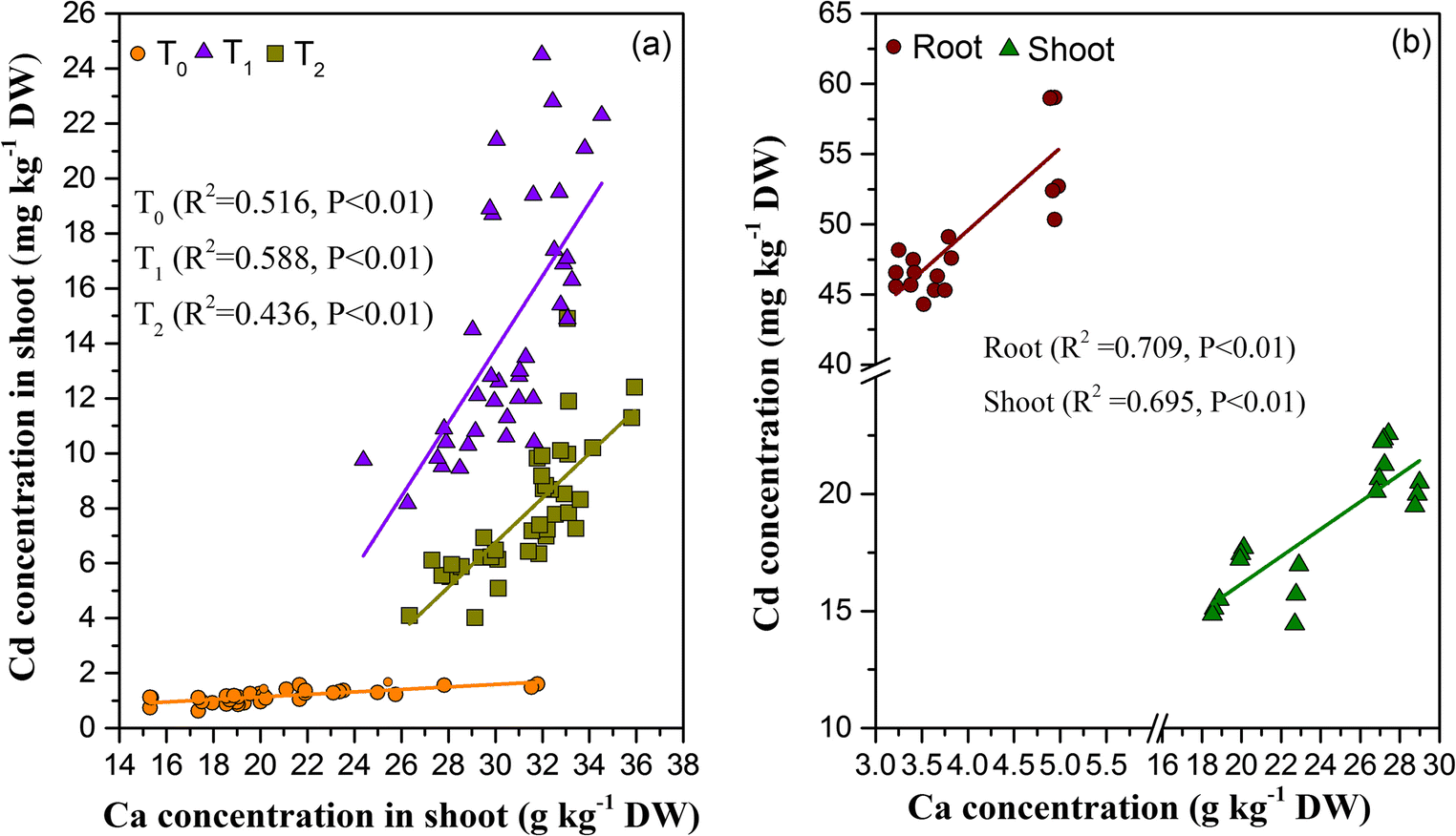 Low Root Shoot R S Biomass Ratio Can Be An Indicator Of Low Cadmium Accumulation In The Shoot Of Chinese Flowering Cabbage Brassica Campestris L Ssp Chinensis Var Utilis Tsen Et Lee Cultivars