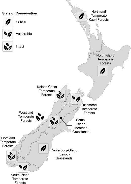 Land use impacts on biodiversity from kiwifruit production in New Zealand assessed with global