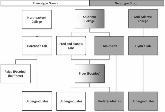Undergraduate Students Development Of Social Cultural And - 