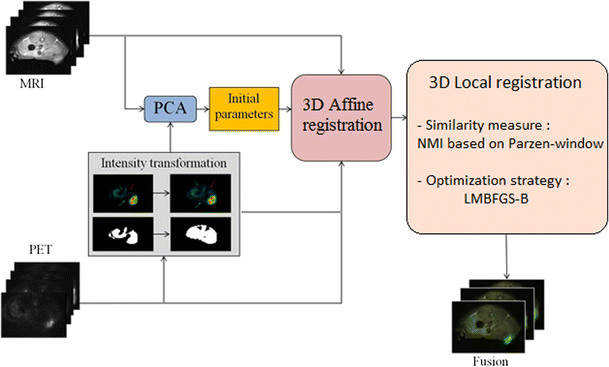 Automatic deformable PET/MRI registration for preclinical studies based ...