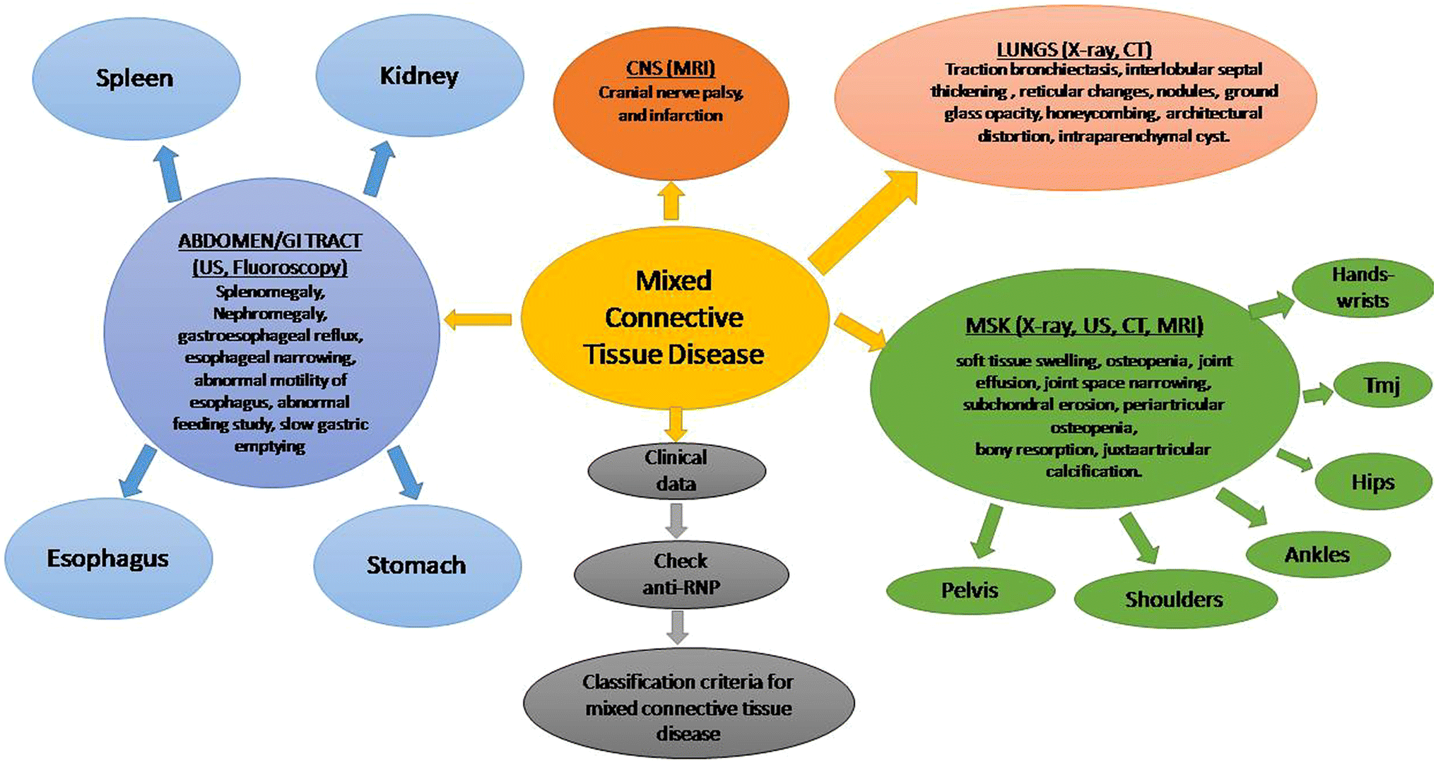 Image result for mixed connective tissue disease