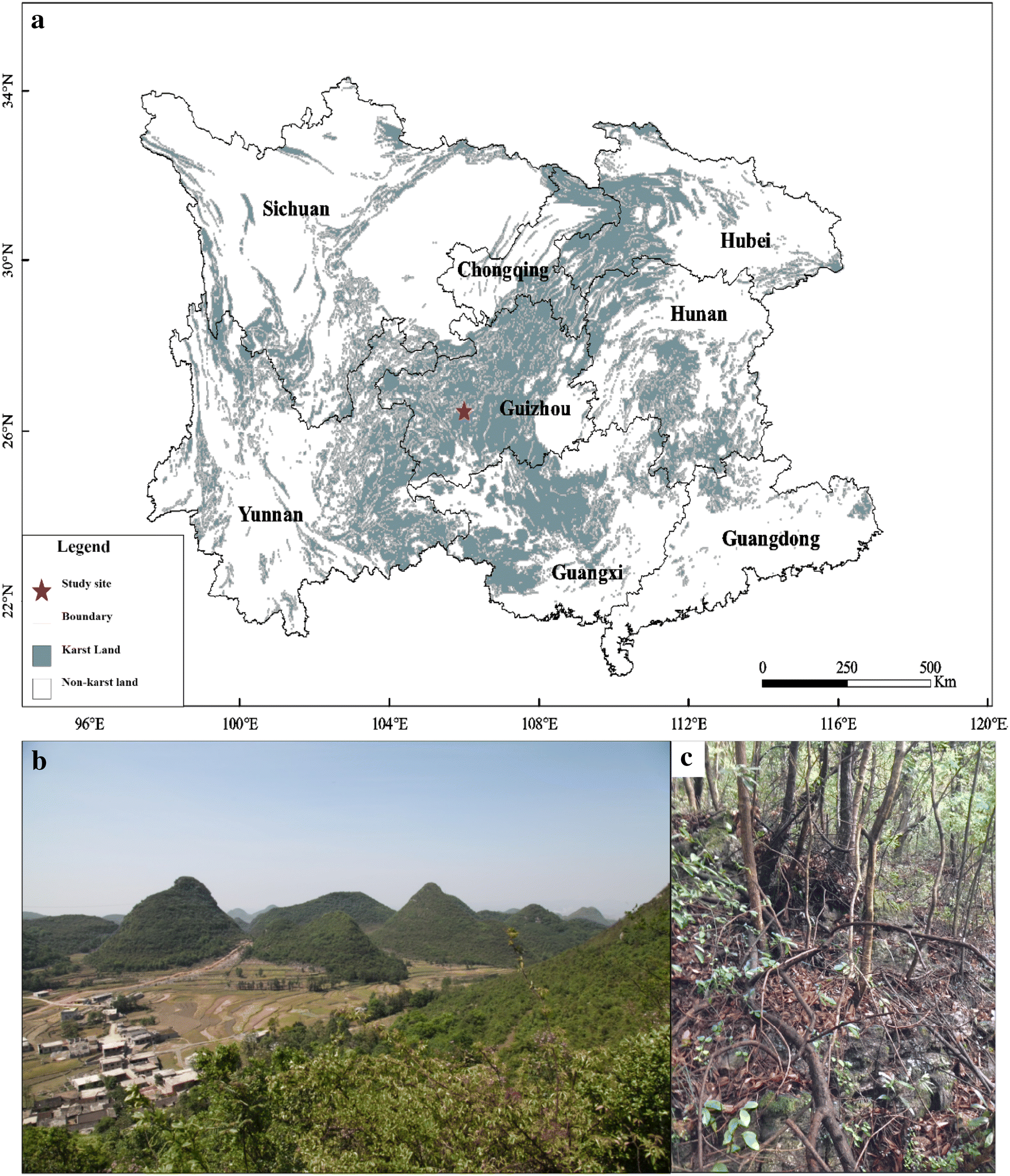 Low Carbon Storage Of Woody Debris In A Karst Forest In - 
