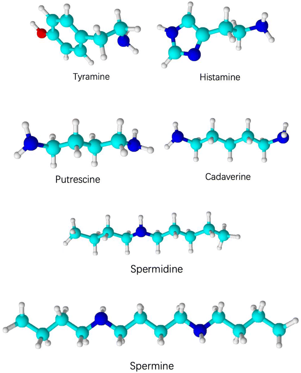 Changes In Biogenic Amines And Total Volatile Base Nitrogen In Gonatopsis Borealis Muscle During Storage Springerlink Changes In Biogenic Amines And Total Volatile Base Nitrogen In Gonatopsis Borealis Muscle During Storage Springerlink