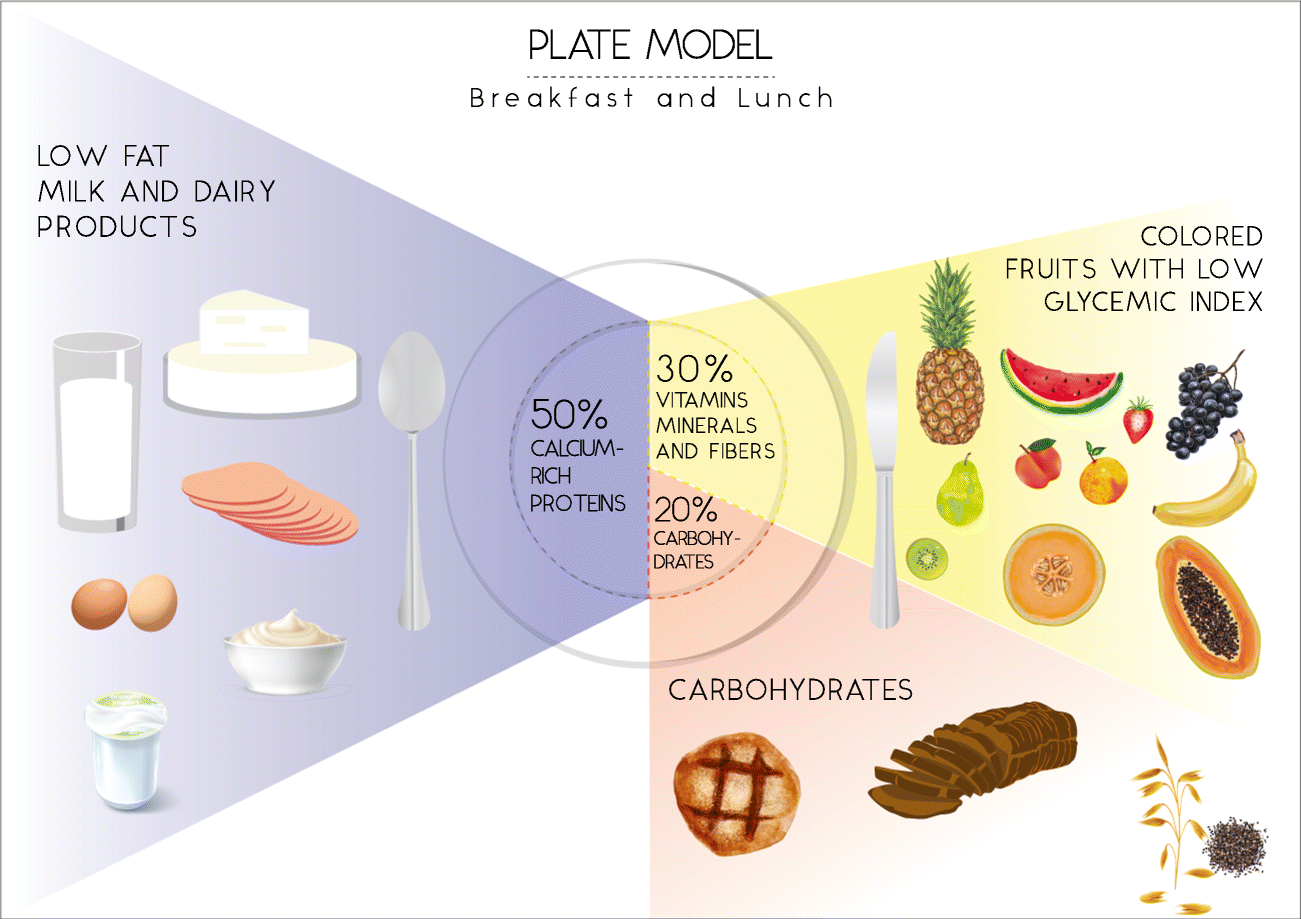 Image result for neutral lunch plate model diagram