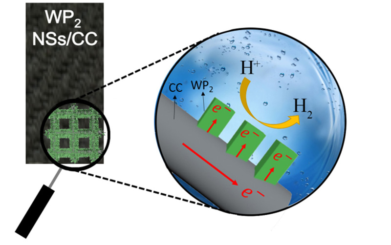 A 3D porous WP2 nanosheetscarbon cloth flexible electrode for
