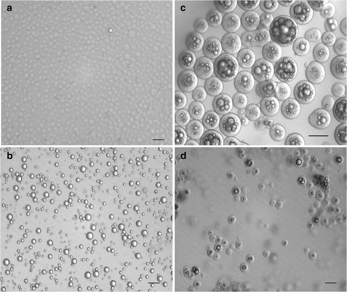 Influence of the Oil Phase on the Microencapsulation by Complex