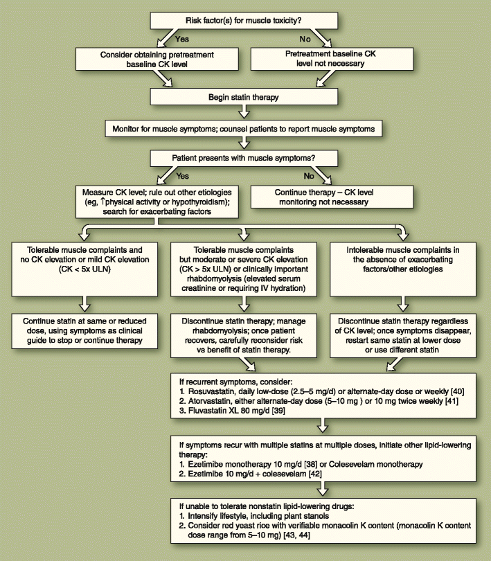 EvidenceBased Management of Statin Myopathy SpringerLink