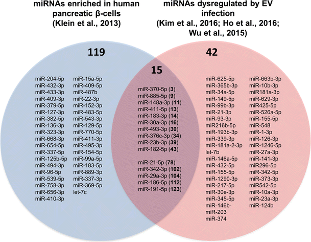 micrornas in type 1 diabetes complex interregulation of the immune difference between type1 and type 2 diabetes venn diagram