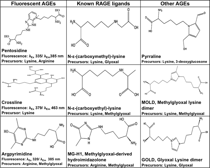 dietary advanced glycation end products and cardiometabolic risk open image in new window