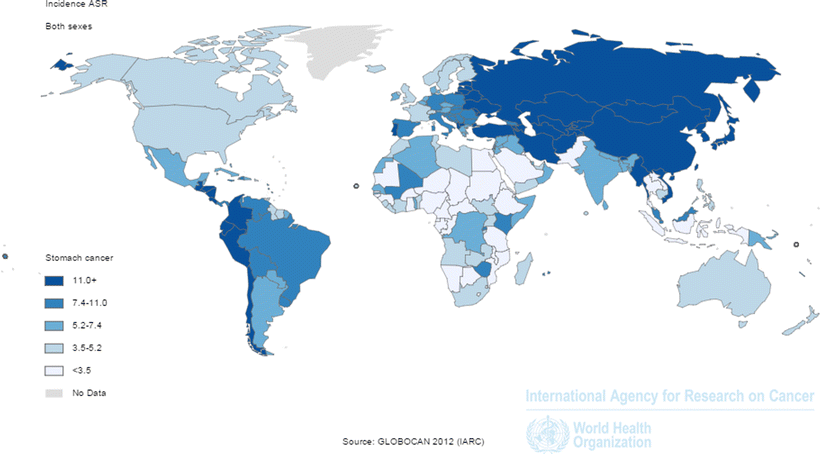 Gastric Cancer: How Can We Reduce the Incidence of this Disease