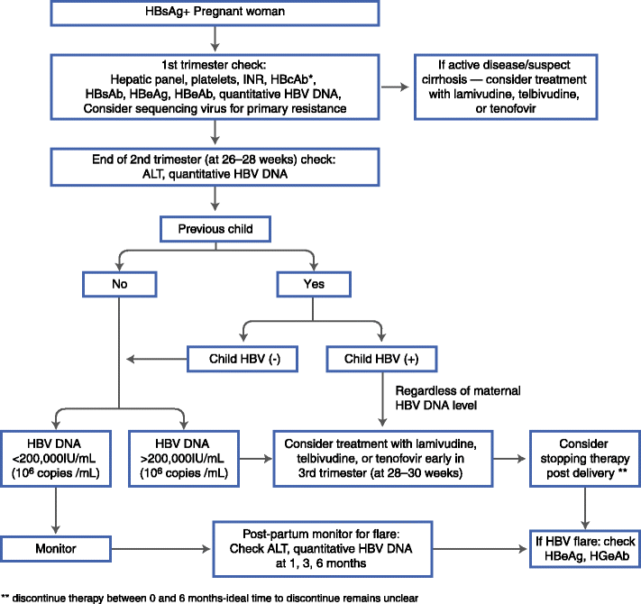 Optimal Management of the Hepatitis B Patient Who Desires Pregnancy or ...