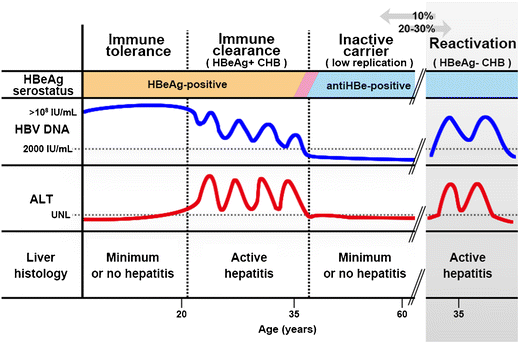 revisiting-the-natural-history-of-chronic-hbv-infection-springerlink