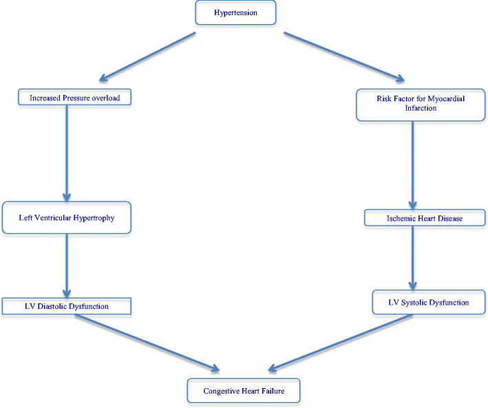 Hypertension As A Risk Factor For Heart Failure Springerlink - 