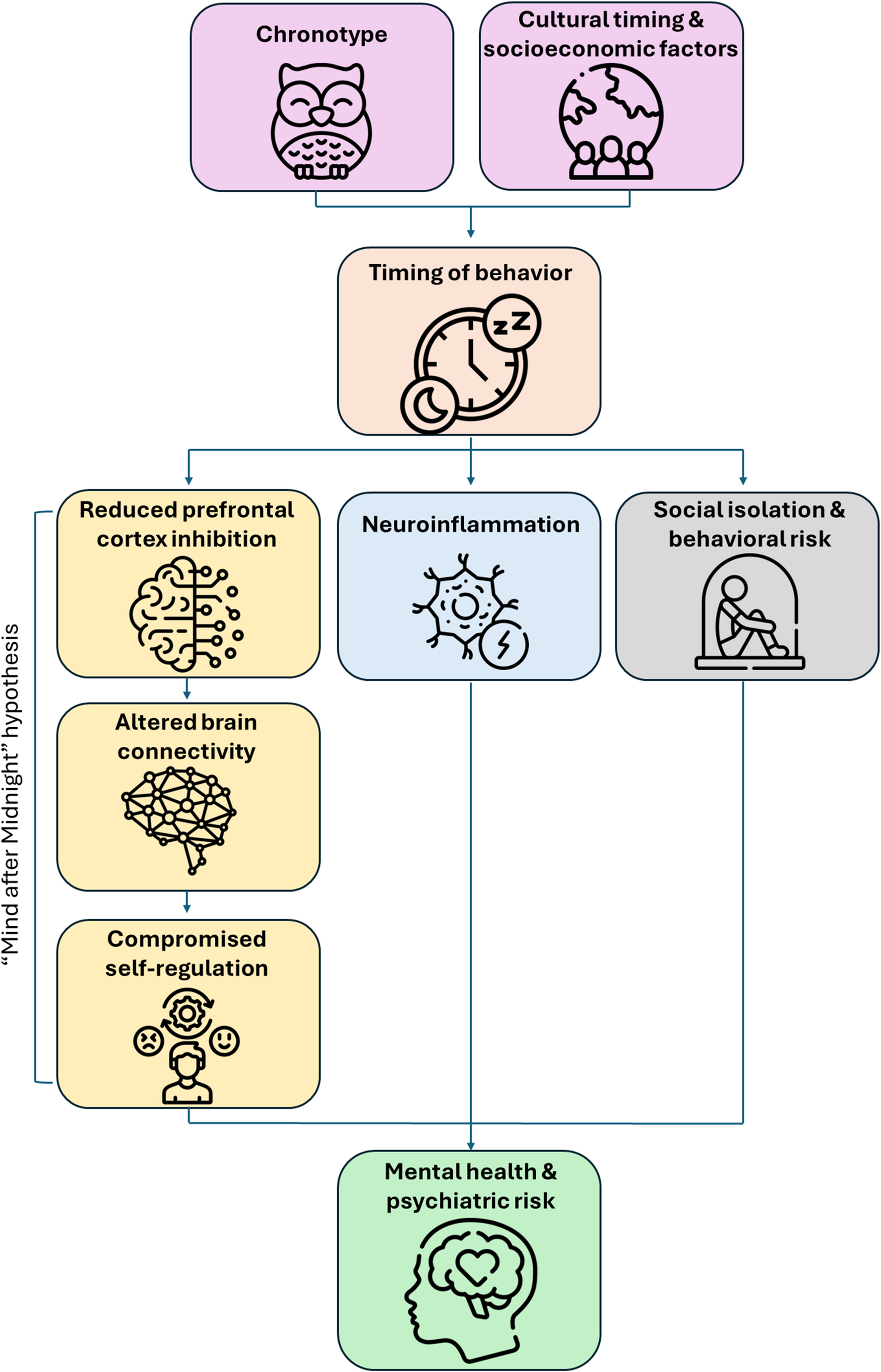 Chronotype and Mental Health: Are Late Sleepers More Vulnerable? |  springermedizin.de