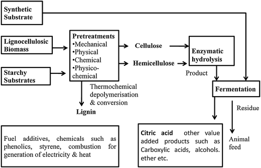 Bioprocess Flow Chart