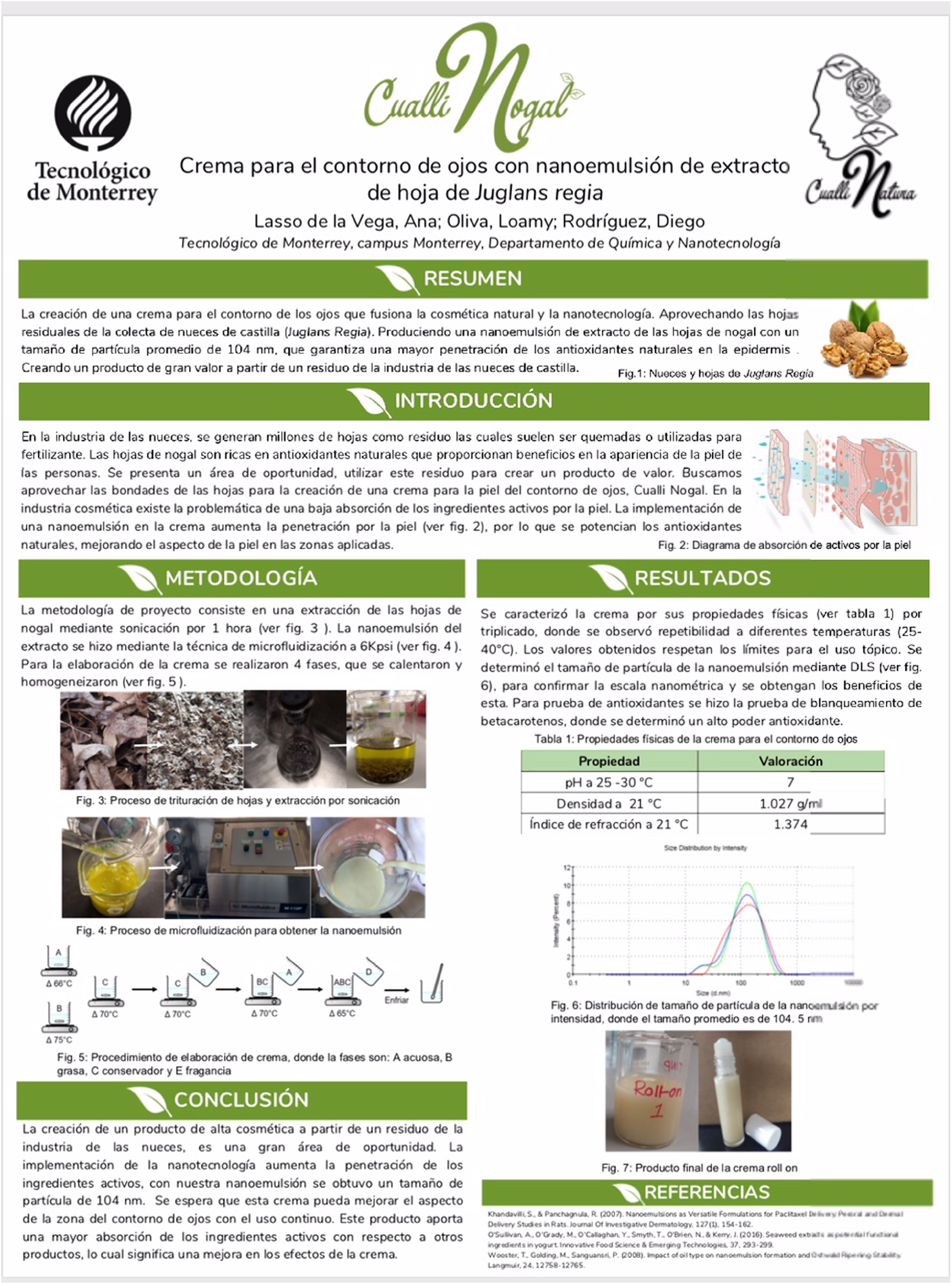 Nanotechnology Learning Through Product Development Springerlink